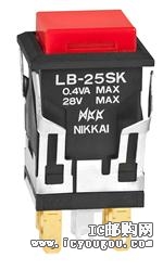 LB25SKG01-CDƬ