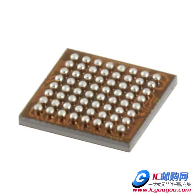 c鿴MSP430F5219IYFFRDƬ
